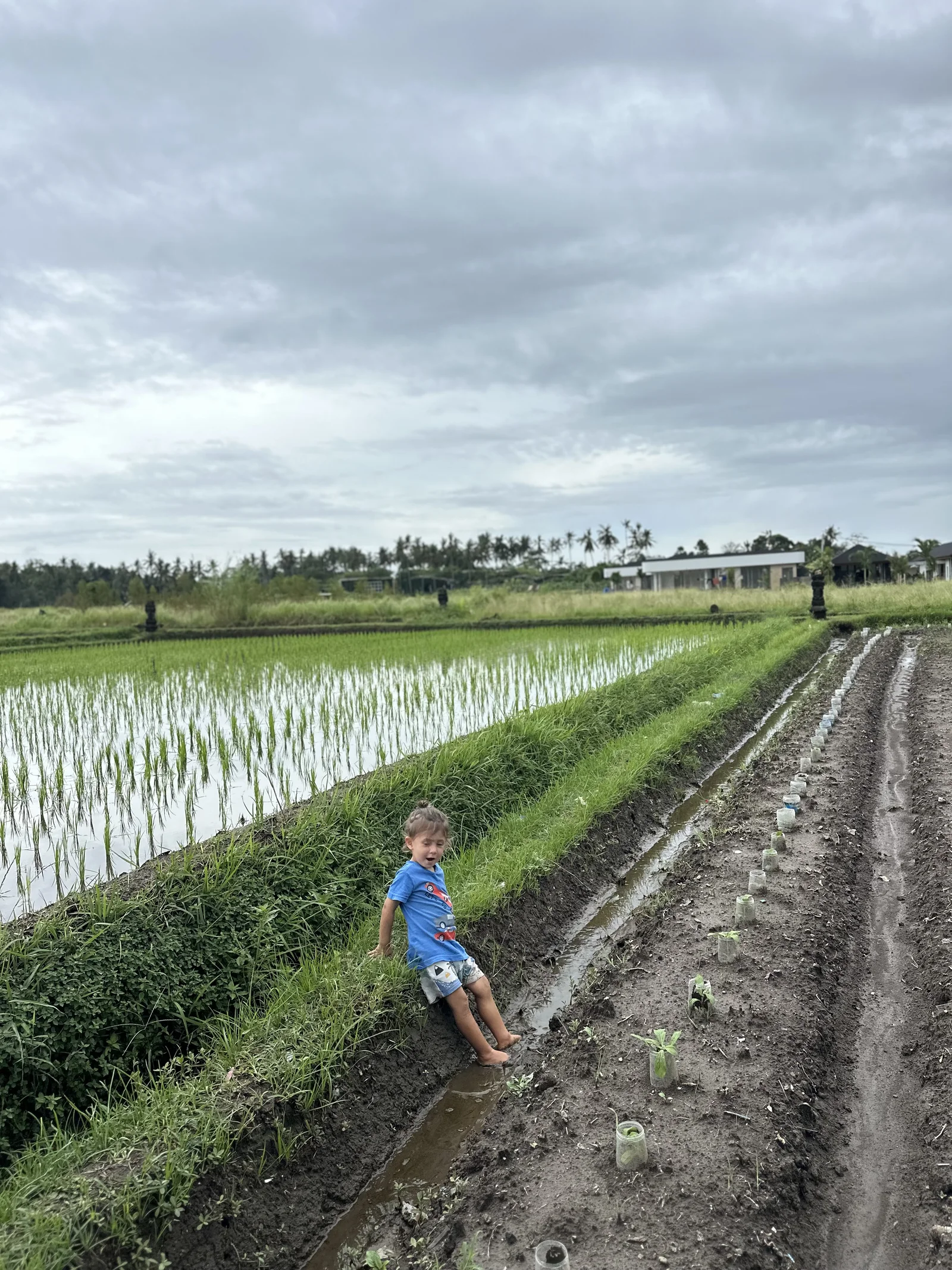 Sunny Kids Moment 105